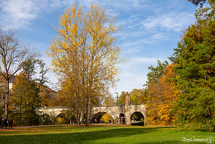 die Sternbrücke