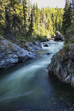 die Million-Dollar-Falls