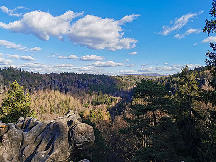 Blick vom Sachsenstein