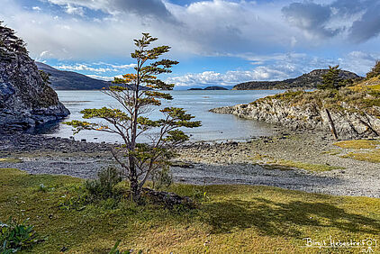 NP Tierra del Fuego