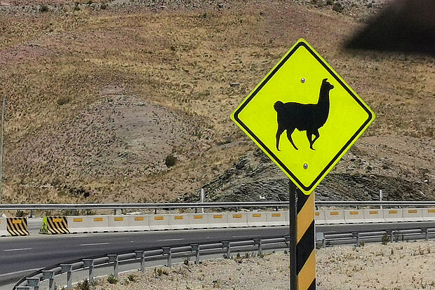 Lama-Schild