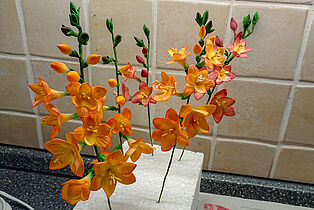 Fresien-Blüten